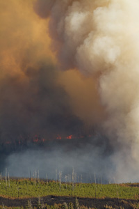 fire